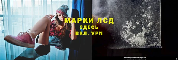 PSILOCYBIN Липки