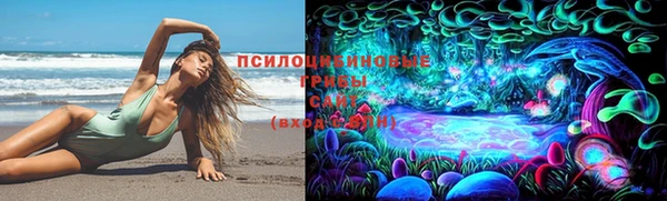 PSILOCYBIN Липки
