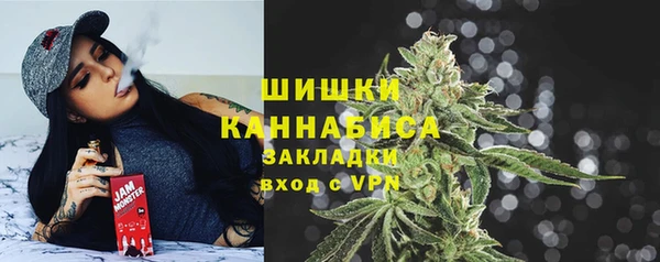 PSILOCYBIN Липки