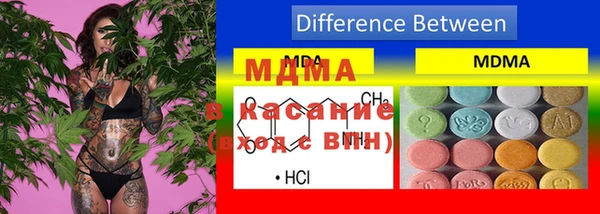 PSILOCYBIN Липки