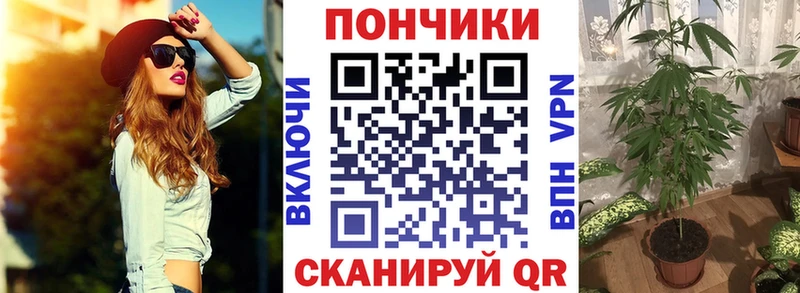 Канабис AK-47  купить наркоту  Мамадыш 